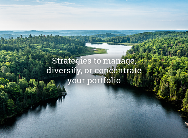 Strategies to manage_ diversify_ or concentrate your portfolio.png